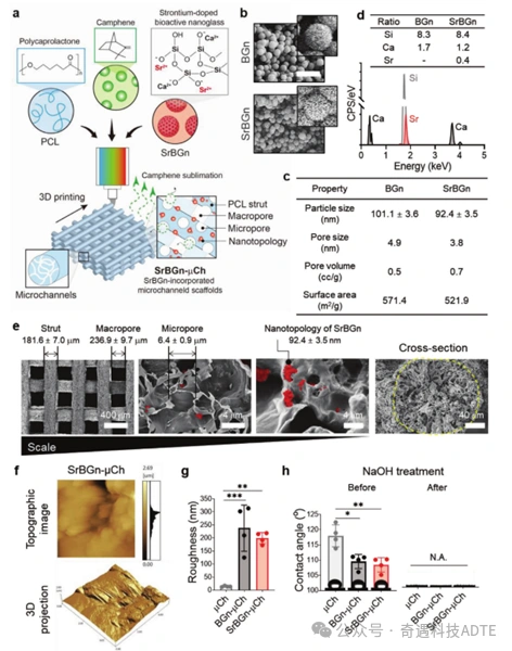 3D-Printed Scaffolds Accelerate Cartilage Defect Repair
