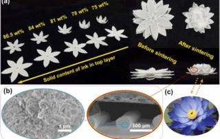 4D Printing Ceramic : A New Era For Advanced Ceramics
