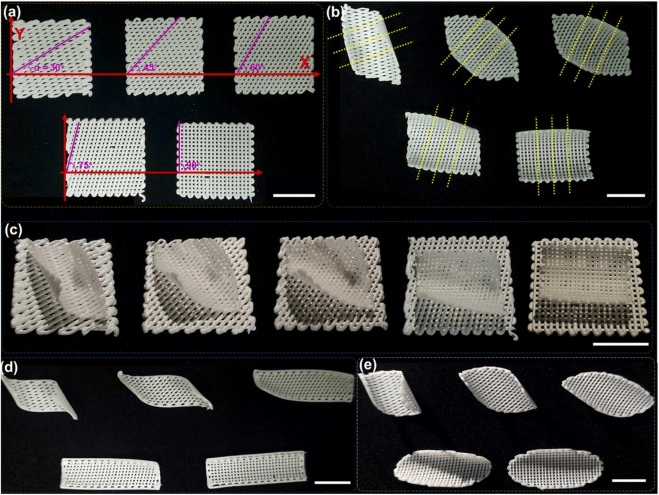 4D Printing Ceramic : A New Era For Advanced Ceramics