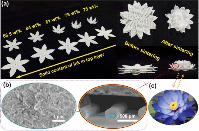4D Printing Ceramic : A New Era For Advanced Ceramics