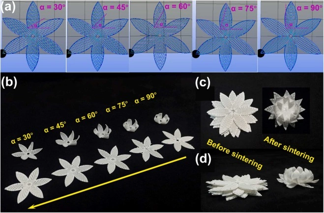 Additive Manufacturing: 4D printing of ceramic structures