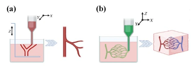 Advances In Bio Resin 3D Printing For Tissue Engineering And Regenerative Medicine