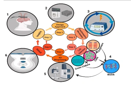 Advances in Bone Tissue Engineering: 4D Printing for Dynamic and Adaptive Bone Implants