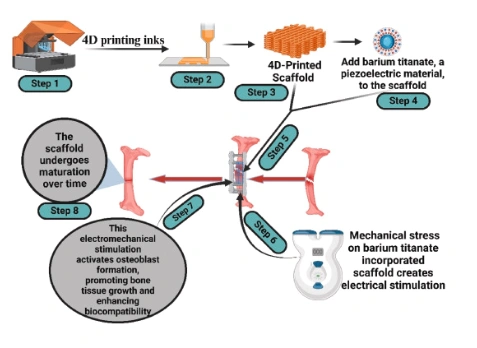 Advances in Bone Tissue Engineering: 4D Printing for Dynamic and Adaptive Bone Implants