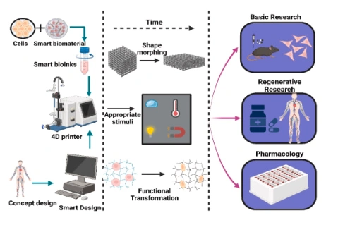 Advances in Bone Tissue Engineering: 4D Printing for Dynamic and Adaptive Bone Implants