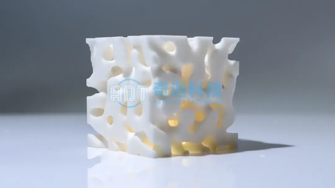 DLP light-curing ceramic 3D printing alumina TPMS structure case