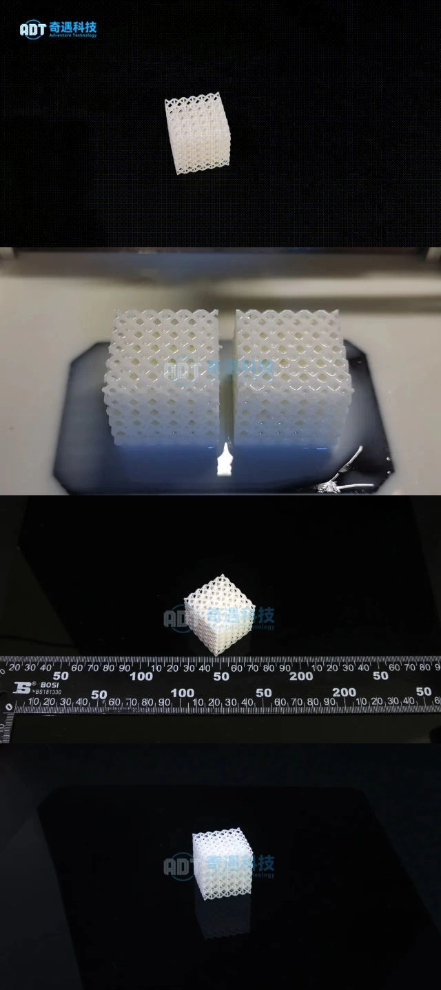 Application Results | 3D Printing Flexible Resin Block Structure Printing Case