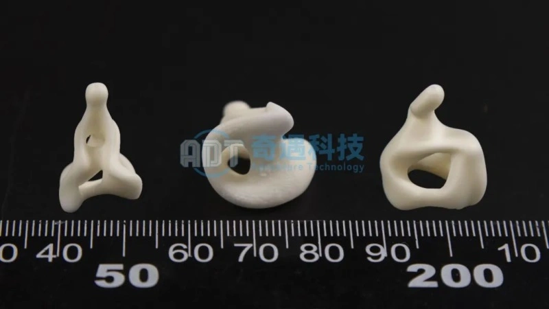Application Results | Ceramic 3D Printing Alumina Crafts Case