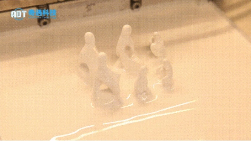 Application Results | Ceramic 3D Printing Alumina Crafts Case