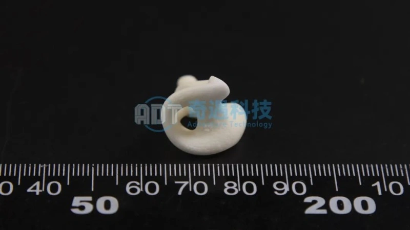 Application Results | Ceramic 3D Printing Alumina Crafts Case