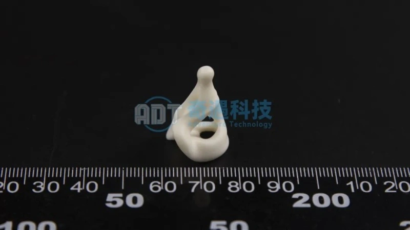 Application Results | Ceramic 3D Printing Alumina Crafts Case