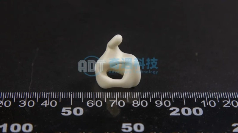 Application Results | Ceramic 3D Printing Alumina Crafts Case