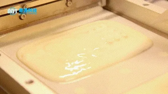Application results | Light-cured DLP 3D Printing Hydroxyapatite Bio-Grid Wafer Case