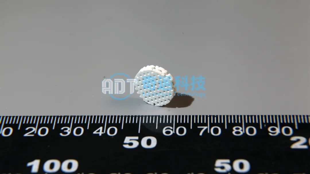 Application results | Light-cured DLP 3D Printing Hydroxyapatite Bio-Grid Wafer Case