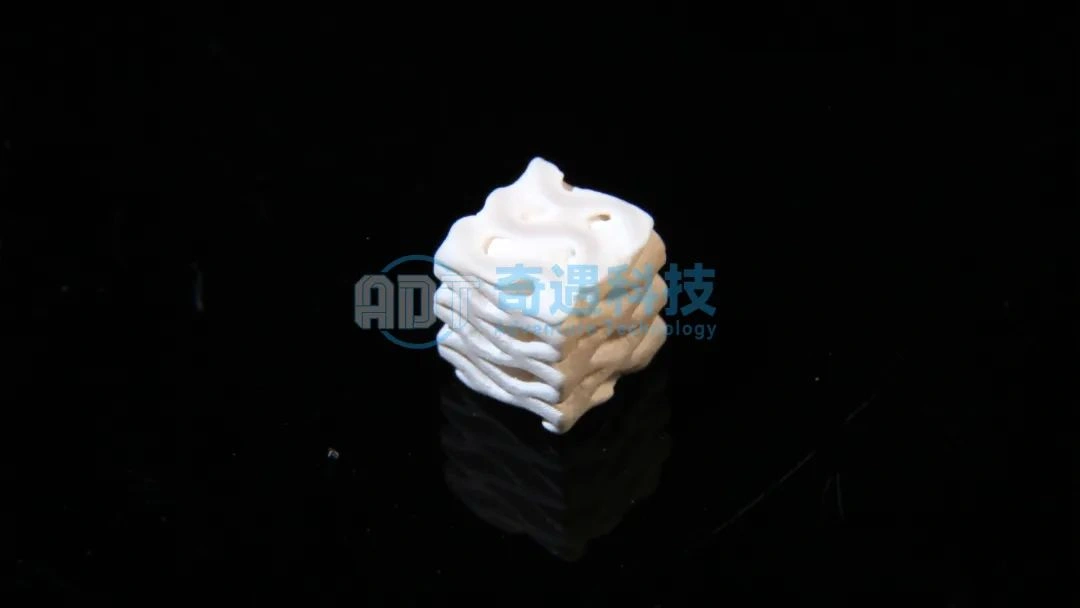 Application results | Light curing DLP 3D printing hydroxyapatite G surface structure