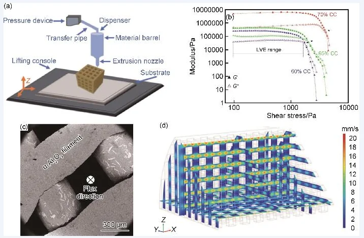 Porous ceramic catalyst structure with controlled architecture