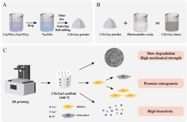 Ceramic 3D printed gallium-doped calcium silicate bioceramic scaffol