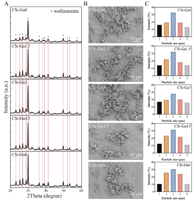 Ceramic 3D printed gallium-doped calcium silicate bioceramic scaffol