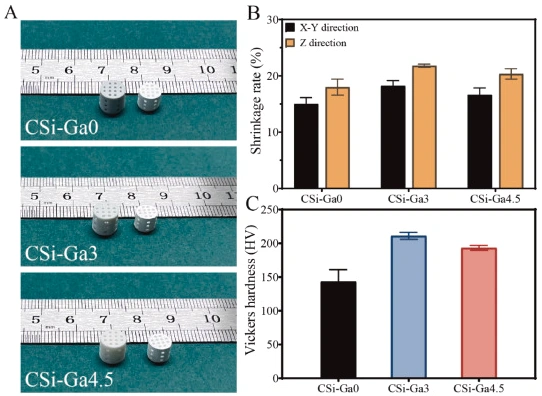 Ceramic 3D printed gallium-doped calcium silicate bioceramic scaffol