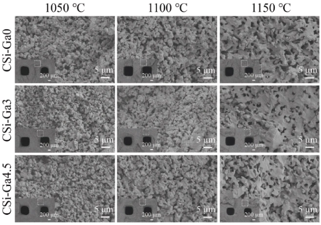 Ceramic 3D printed gallium-doped calcium silicate bioceramic scaffol