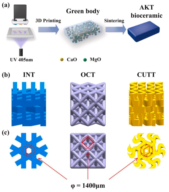 Ceramic 3D printer: How to print polymer-derived ceramic scaffolds with a squid bone-like structure?