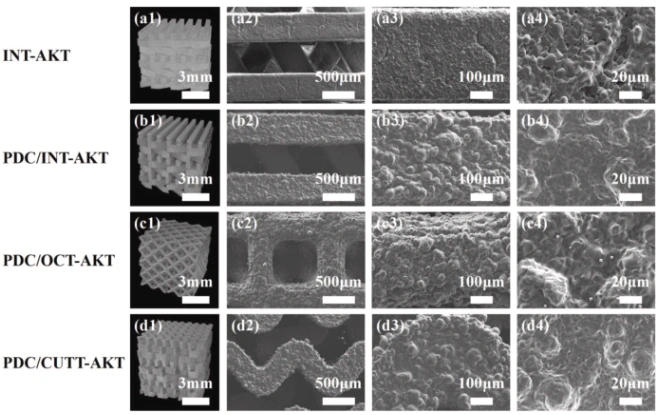 Ceramic 3D printer: How to print polymer-derived ceramic scaffolds with a squid bone-like structure?