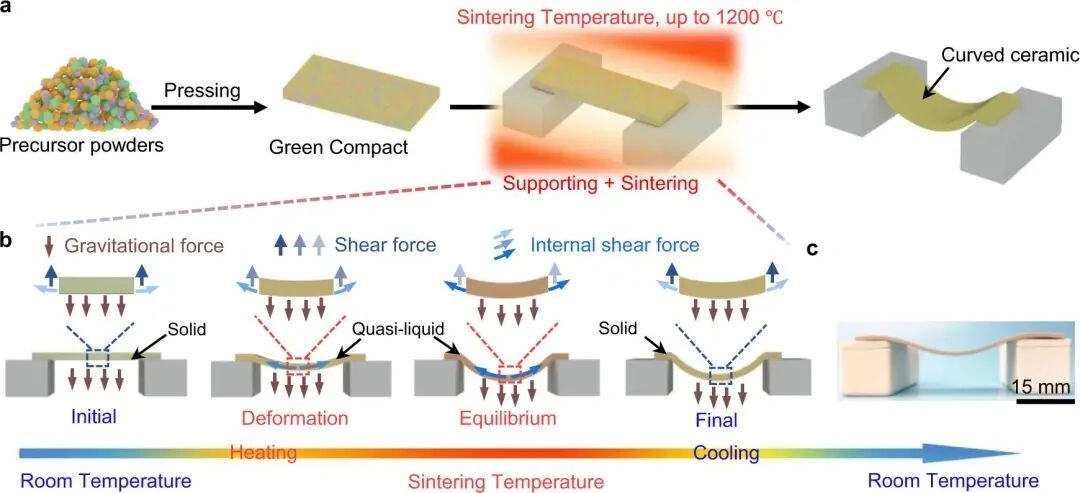 Ceramic Sintering Process: How To Design Heating Curves For DLP 3D Printing
