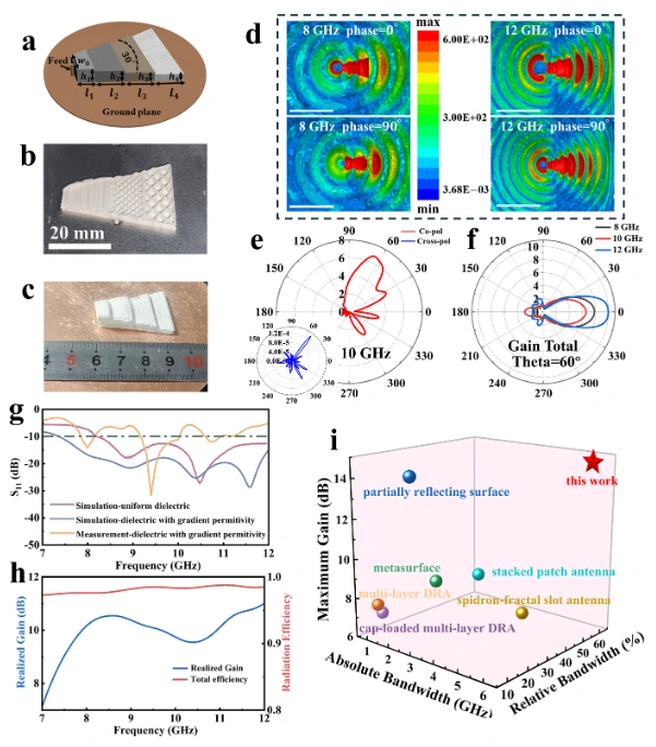 Direct Ink Writing(DIW) for Fabrication of Gradient Dielectric Metamaterials with Designable Permittivity