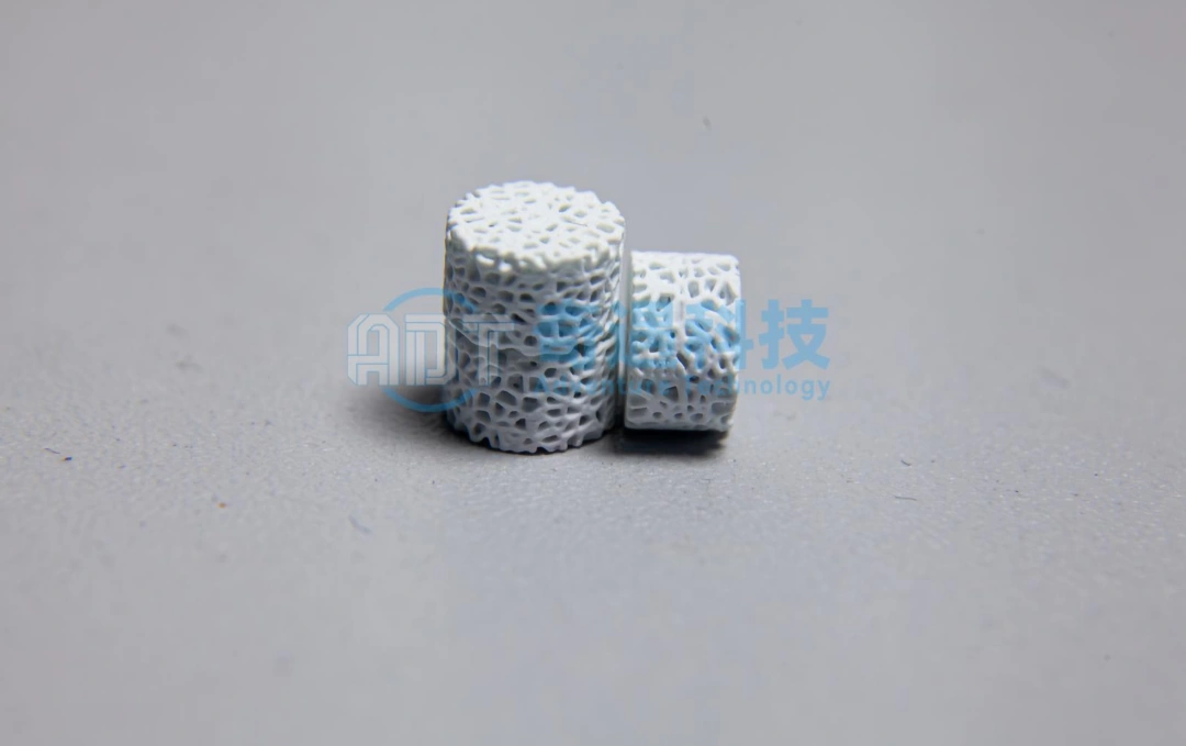 DLP 3D Printing For Functional Bioceramic Structures: From Bone Scaffolds To Customized Implants