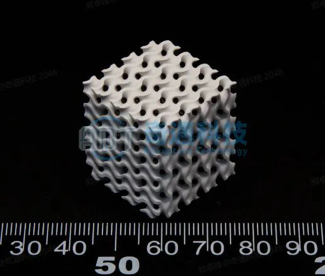 DLP 3D Printing For Functional Bioceramic Structures: From Bone Scaffolds To Customized Implants