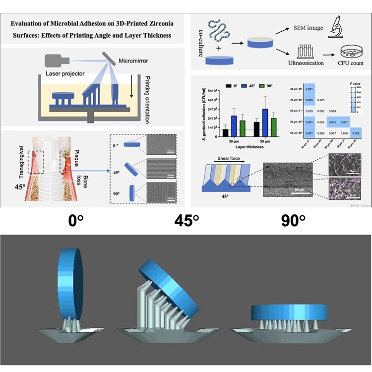 DLP Ceramic 3D Printing: Evaluation Of Microbial Adhesion On Zirconia Surfaces