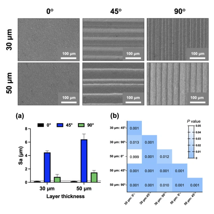 DLP Ceramic 3D Printing: Evaluation Of Microbial Adhesion On Zirconia Surfaces