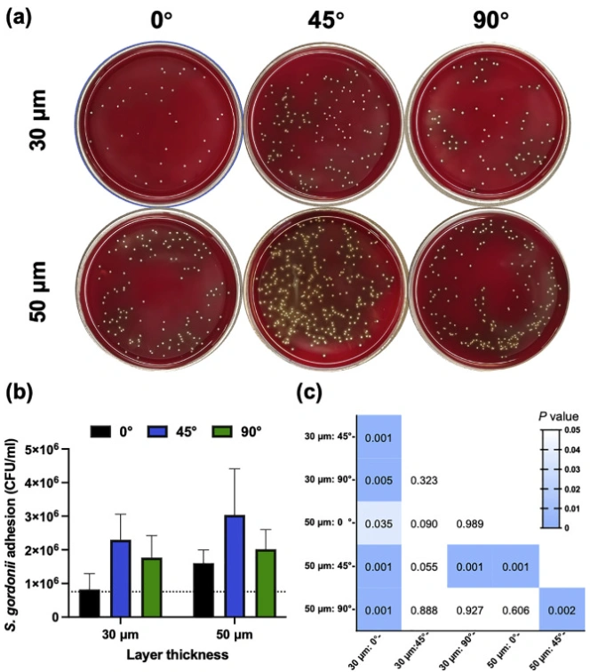 DLP Ceramic 3D Printing: Evaluation Of Microbial Adhesion On Zirconia Surfaces