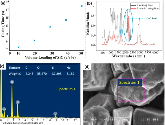 DLP Ceramic 3D Printing Of Surface-Activated SiC-Polymer Composite Hollow Three-Dimensional Structures