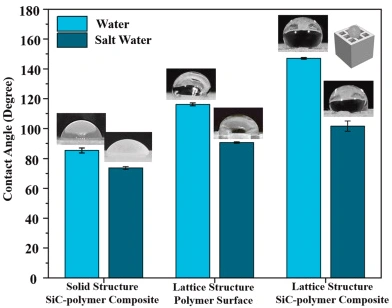 DLP Ceramic 3D Printing Of Surface-Activated SiC-Polymer Composite Hollow Three-Dimensional Structures