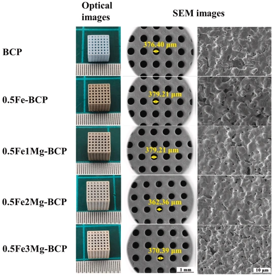 Effect of Fe-Mg Co-Doping on the Comprehensive Properties of 3D-Printed Biphasic Calcium Phosphate Ceramics