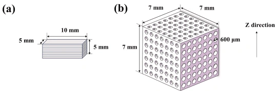 Effect of Fe-Mg Co-Doping on the Comprehensive Properties of 3D-Printed Biphasic Calcium Phosphate Ceramics
