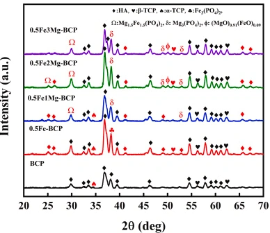 Effect of Fe-Mg Co-Doping on the Comprehensive Properties of 3D-Printed Biphasic Calcium Phosphate Ceramics
