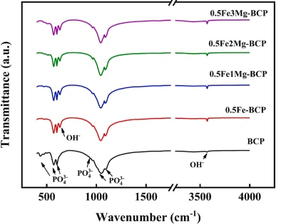 Effect of Fe-Mg Co-Doping on the Comprehensive Properties of 3D-Printed Biphasic Calcium Phosphate Ceramics