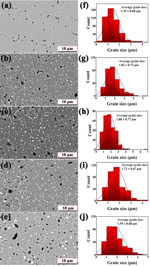 Effect of Fe-Mg Co-Doping on the Comprehensive Properties of 3D-Printed Biphasic Calcium Phosphate Ceramics