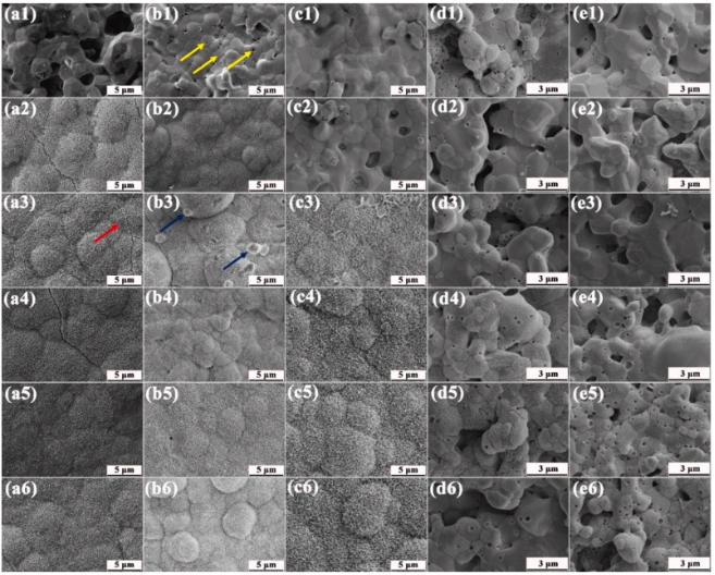 Effect of Fe-Mg Co-Doping on the Comprehensive Properties of 3D-Printed Biphasic Calcium Phosphate Ceramics