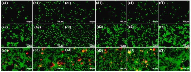 Effect of Fe-Mg Co-Doping on the Comprehensive Properties of 3D-Printed Biphasic Calcium Phosphate Ceramics