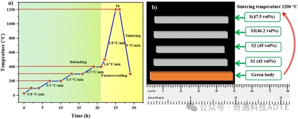 Effect of Solid Content on the Structure and Densification of Kaolin Ceramics Fabricated by DLP Printing
