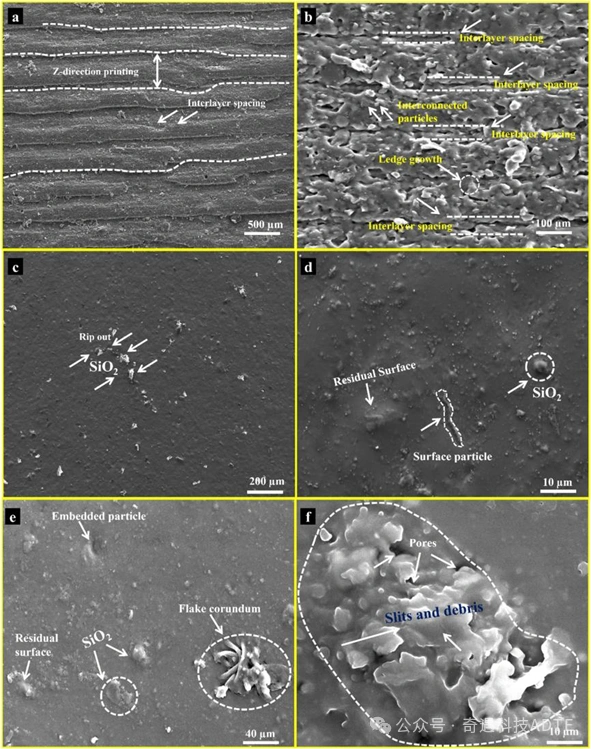 Effect of Solid Content on the Structure and Densification of Kaolin Ceramics Fabricated by DLP Printing