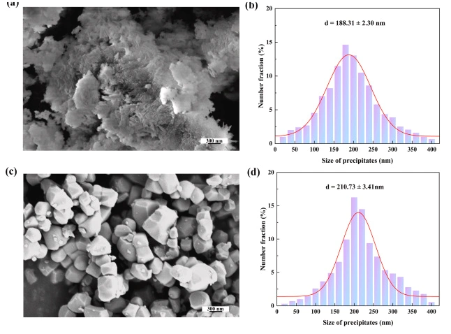 Electromechanical Coupling In HA–BaTiO₃ Bioceramic Scaffolds Via DLP 3D Printing