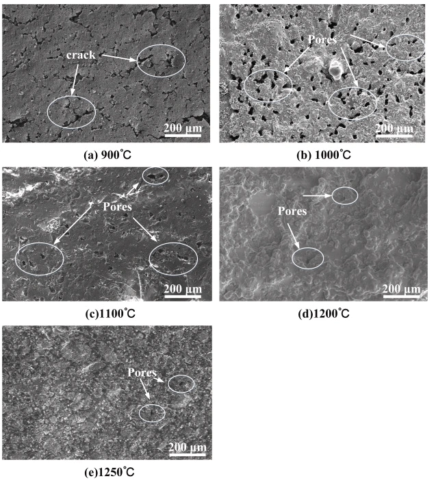 Electromechanical Coupling In HA–BaTiO₃ Bioceramic Scaffolds Via DLP 3D Printing
