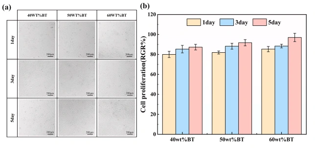 Electromechanical Coupling In HA–BaTiO₃ Bioceramic Scaffolds Via DLP 3D Printing