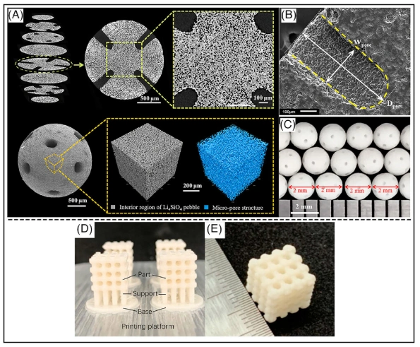 Expanding the Frontiers of DLP Ceramic 3D Printing: Zirconia, Hydroxyapatite & Piezoelectric Ceramics