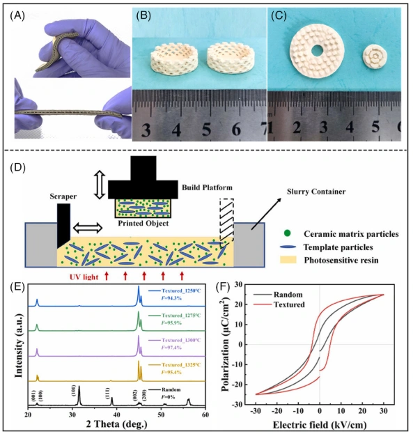 Expanding the Frontiers of DLP Ceramic 3D Printing: Zirconia, Hydroxyapatite & Piezoelectric Ceramics