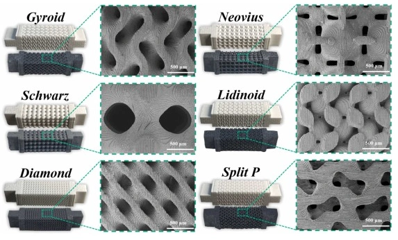Industry Dynamics丨DLP ceramic 3D printing to prepare porous carbon/ceramic composite structure with three-dimensional conductive network